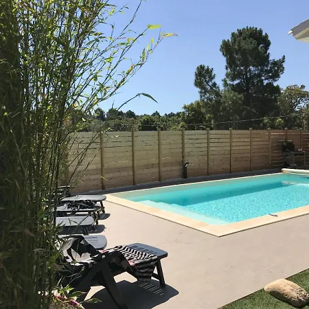 Villa 300M De La Plage De Pinarello Avec Piscine Privee Villa Pinarellu